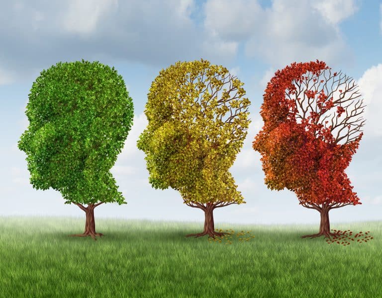 Hjärnan – Framgångsrik behandling av nedsatt kognitiv funktion, demens och alzheimers. Del 2/3